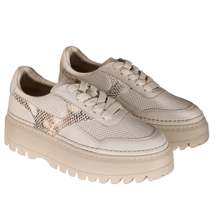 women court shoes