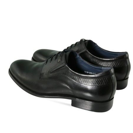 men  classic shoes